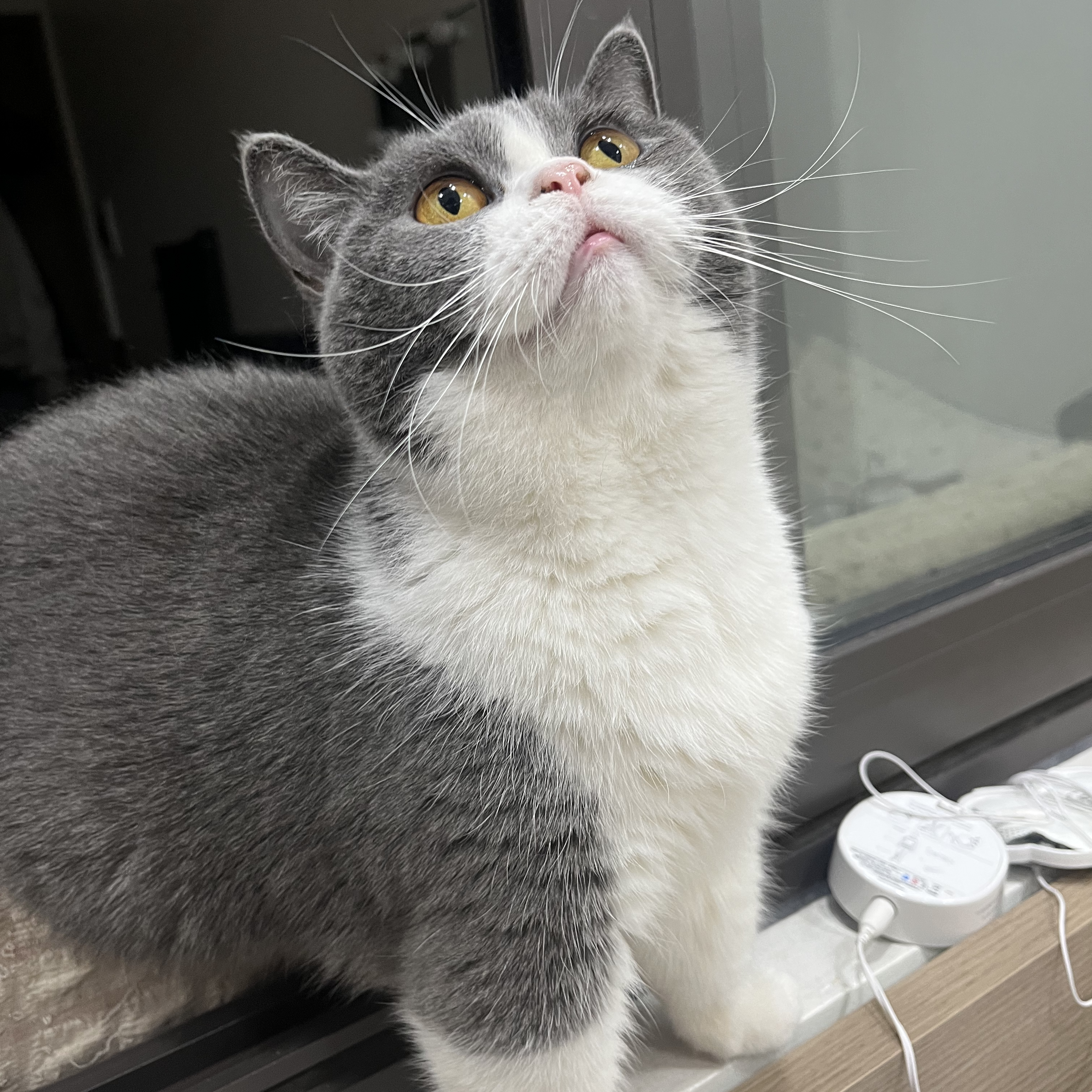 Hmmm! Look at that pose